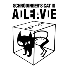 schrödinger’in kedisi, paralel evren ve müzeyyen